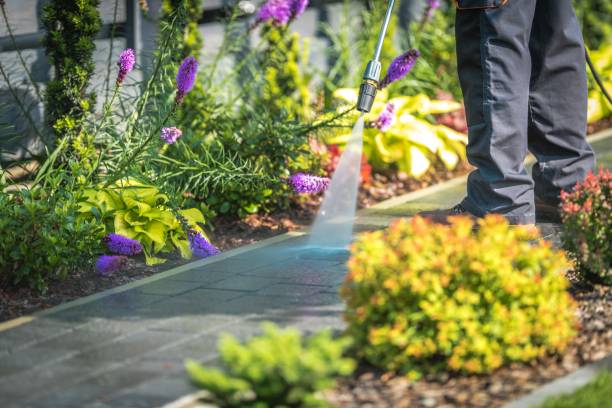 Best Animal Enclosure Cleaning  in Sacramento, CA
